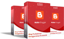 Pro Blogger BOX